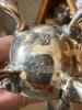 Sterling Silver Weighted Salt and Pepper Shakers Assortment - 7