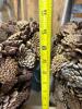 Pair of Large Pinecone Decorative Jardini&egrave;res - 10