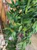 Artificial Floral and Greenery Garlands and Sprays - 2