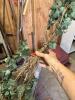 Artificial Floral and Greenery Garlands and Sprays - 5