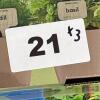Window Herb Garden & Topsy Turvy Planters - 6