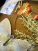 Miscellaneous Wall Art - 4