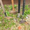 Garden Hoes and Mattock with Wooden and Metal Handles - 2