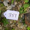 Garden Hoes and Mattock with Wooden and Metal Handles - 4