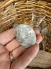 Fossil Specimens Including Petrified Wood and Brachiopods - 2