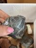 Assorted Rocks and Mineral Specimens - 4