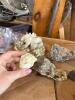 Assorted Mineral and Crystal Specimens - 4