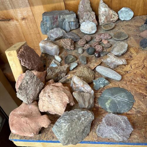 Assorted Rock and Mineral Specimens Collection #1