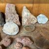 Assorted Rock and Mineral Specimens Collection #1 - 3