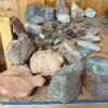 Assorted Rock and Mineral Specimens Collection #1 - 5