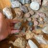 Assorted Rock and Mineral Specimens Collection #1 - 6