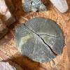 Assorted Rock and Mineral Specimens Collection #1 - 7