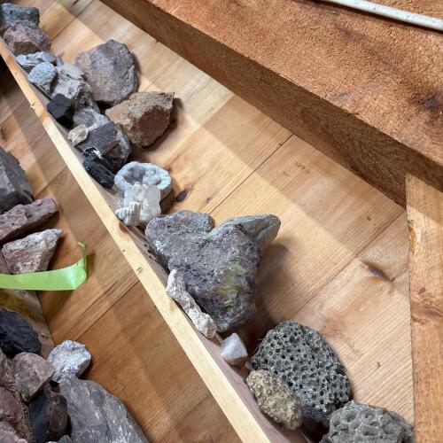 Assorted Rock, Mineral, and Fossil Specimens #4
