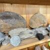 Assorted Rock, Mineral, and Fossil Specimens #4 - 6