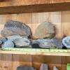 Assorted Rock, Mineral, and Fossil Specimens #4 - 8
