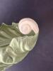 Lenox Leaf-Shaped Ceramic Dish with Shell Motif - 4