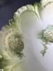 Hand Painted Floral Porcelain Bowl in Victorian-Style - 4