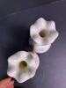Porcelain Vanity Bottles and Powder Jar With Floral Decoration - 5