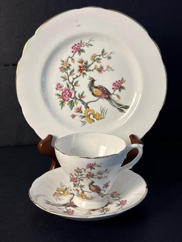 Staffordshire Bird of Paradise Fine Bone China Cup, Saucer, and Plate