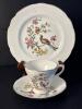 Staffordshire Bird of Paradise Fine Bone China Cup, Saucer, and Plate