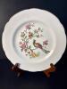 Staffordshire Bird of Paradise Fine Bone China Cup, Saucer, and Plate - 3