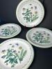 Four Studio Nova Garden Bloom Stoneware Plates