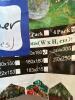 Garden Plant Netting Bags - 4