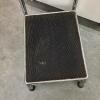 E.F. Brewer Company Chrome Medical Step Stool with Handle - 2
