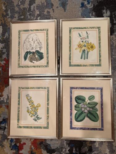 Set of Four Framed Botanical Prints