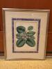 Set of Four Framed Botanical Prints - 2