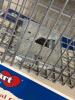 Havahart Live Animal Cage Trap for Chipmunks - 2