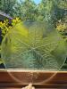 Glass Plate With Pressed Leaf Design