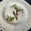 Alfred Meakin Birds of America Decorative Plates - 4