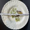 Alfred Meakin Birds of America Decorative Plates - 7