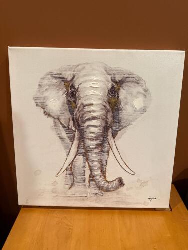 16"x16" Elephant Portrait Canvas Wall Art