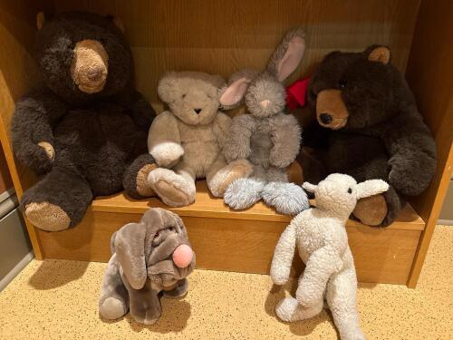 Assorted Stuffy Collection