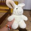 Plush Animals: Teddy Bears, Bunny, and Buffalo - 2