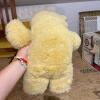 Plush Animals: Teddy Bears, Bunny, and Buffalo - 6
