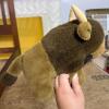 Plush Animals: Teddy Bears, Bunny, and Buffalo - 9