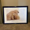 28.75" x 21" Kennan Ward Wild Polar Bear Framed Photograph