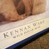 28.75" x 21" Kennan Ward Wild Polar Bear Framed Photograph - 6