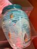 Decorative Glazed Vase Signed K. Haun - 4