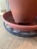 Large Peace Lily in Terra Cotta Pot with Saucer - 9