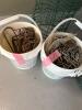 Galvanized Wire Mesh Rolls and Green Wire Garden Fencing - 6