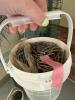 Galvanized Wire Mesh Rolls and Green Wire Garden Fencing - 7