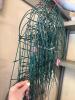 Galvanized Wire Mesh Rolls and Green Wire Garden Fencing - 8