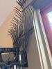 Assorted Garden Rakes and Snow Shovels - 4