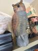Assorted Garden Supplies Including Terra Cotta Pots, Owl Decoy, Seed Starting Supplies, Etc. - 10