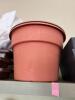 Assorted Garden Supplies Including Terra Cotta Pots, Owl Decoy, Seed Starting Supplies, Etc. - 15