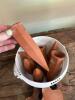 Terracotta Plant Watering Spikes and Pot Feet - 2